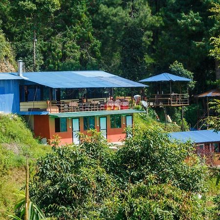 Jungle Crown Organic Homestay 나가르코트 외부 사진