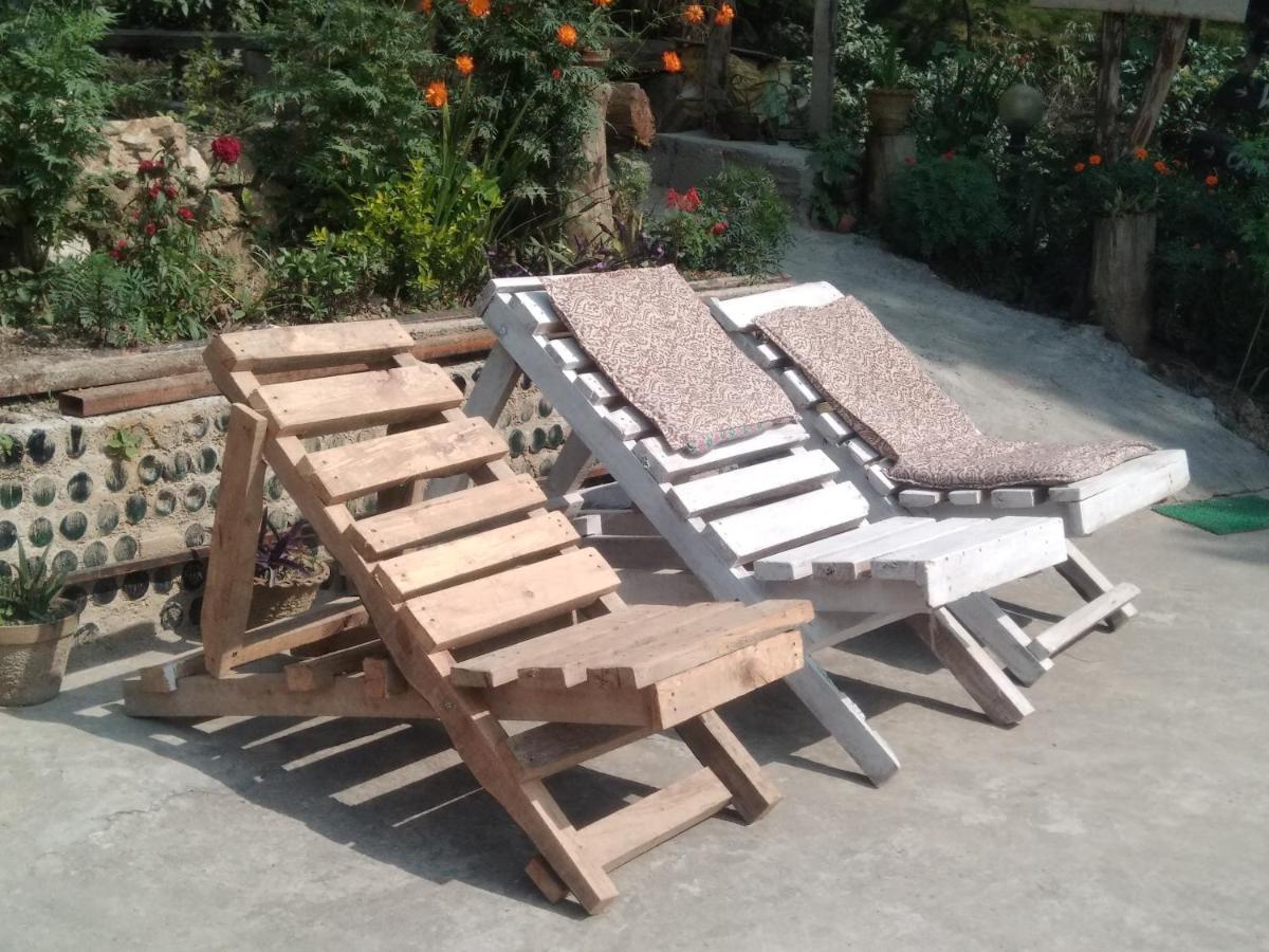 Jungle Crown Organic Homestay 나가르코트 외부 사진