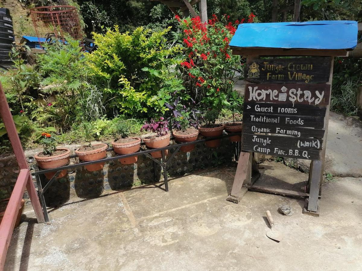 Jungle Crown Organic Homestay 나가르코트 외부 사진
