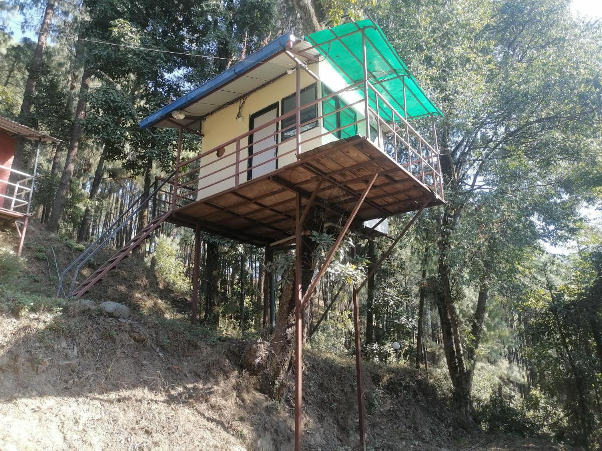 Jungle Crown Organic Homestay 나가르코트 외부 사진