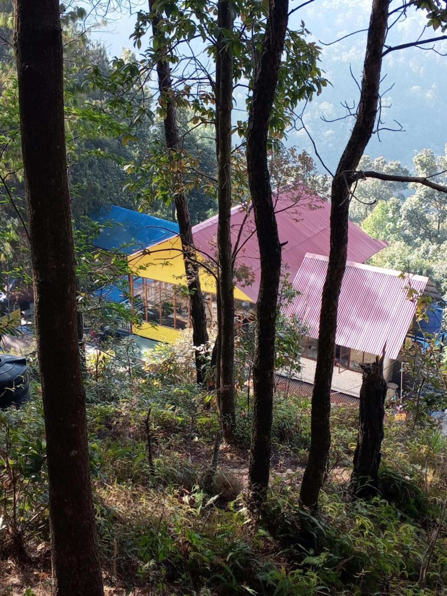 Jungle Crown Organic Homestay 나가르코트 외부 사진