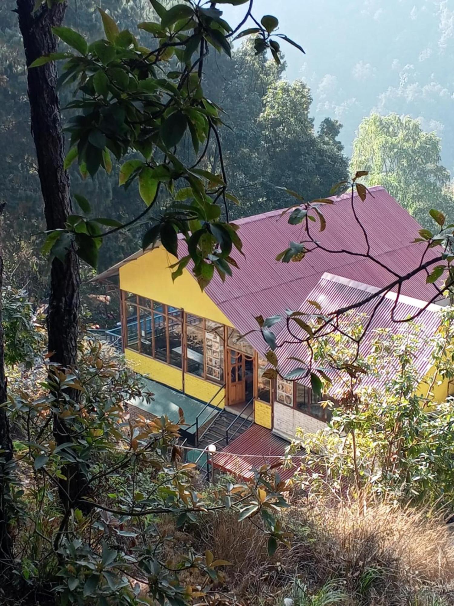 Jungle Crown Organic Homestay 나가르코트 외부 사진