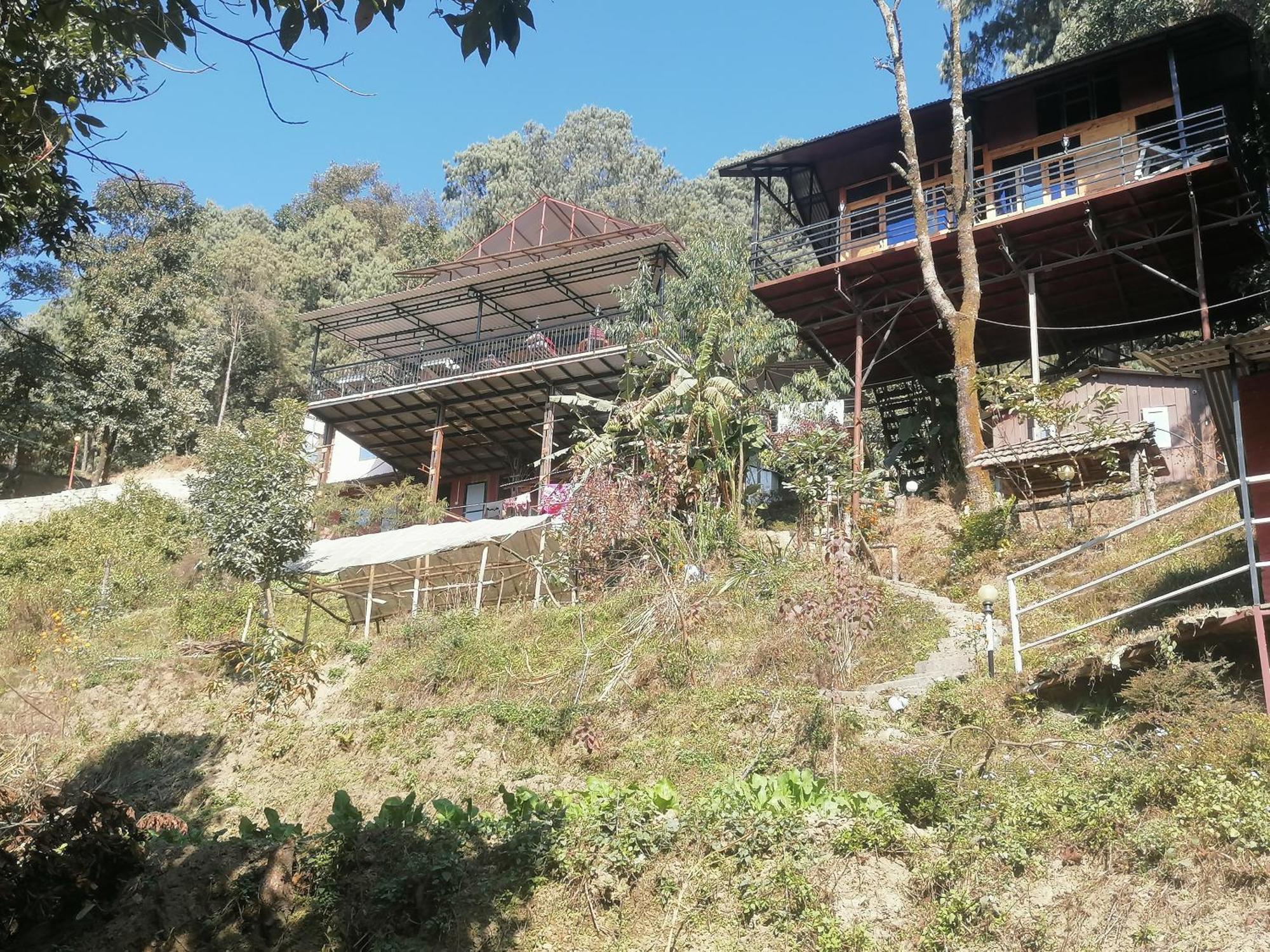 Jungle Crown Organic Homestay 나가르코트 객실 사진