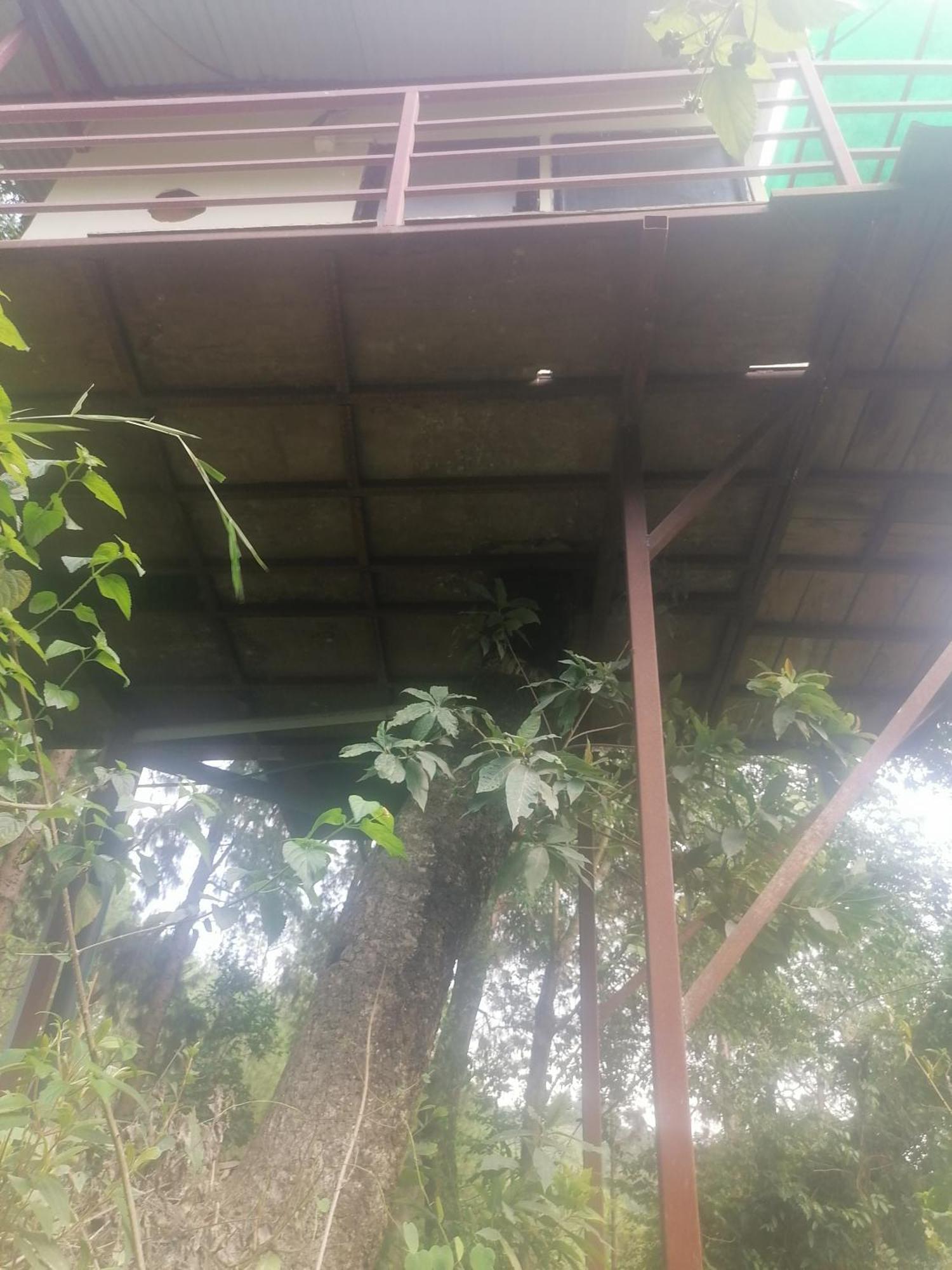 Jungle Crown Organic Homestay 나가르코트 객실 사진