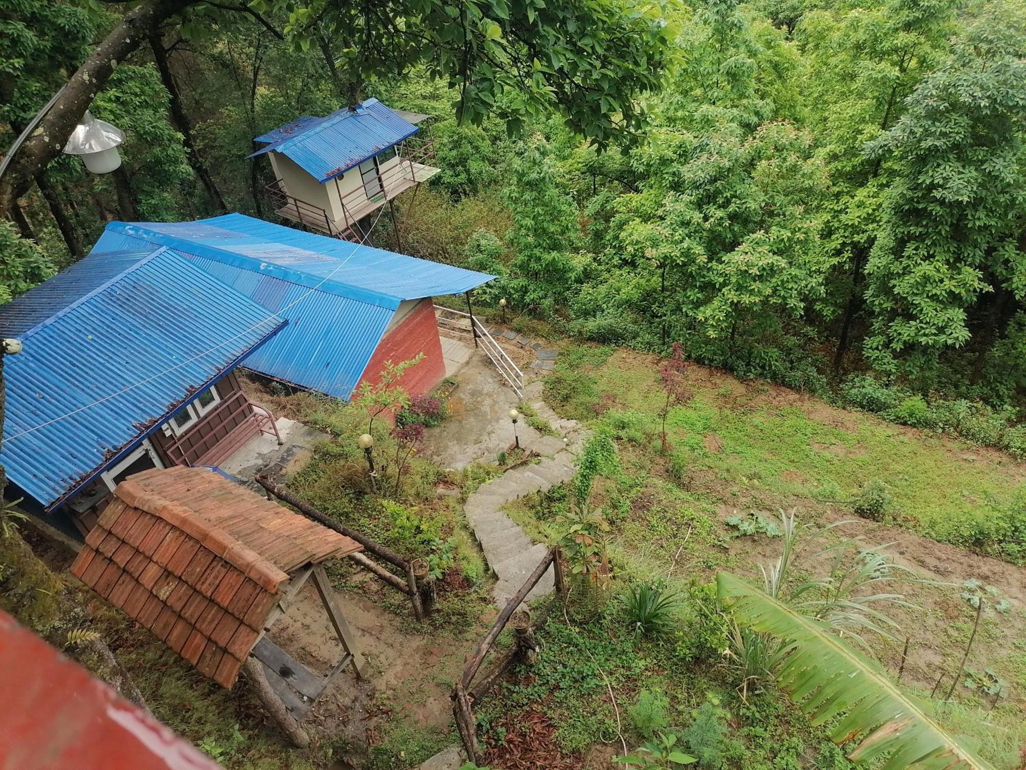 Jungle Crown Organic Homestay 나가르코트 객실 사진
