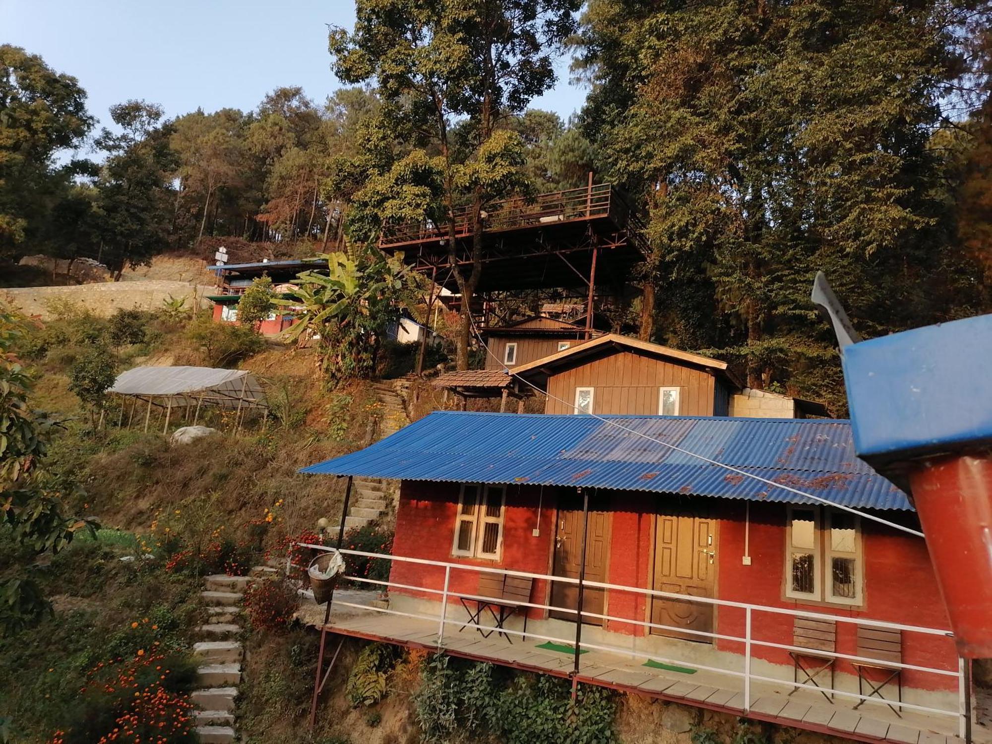Jungle Crown Organic Homestay 나가르코트 객실 사진