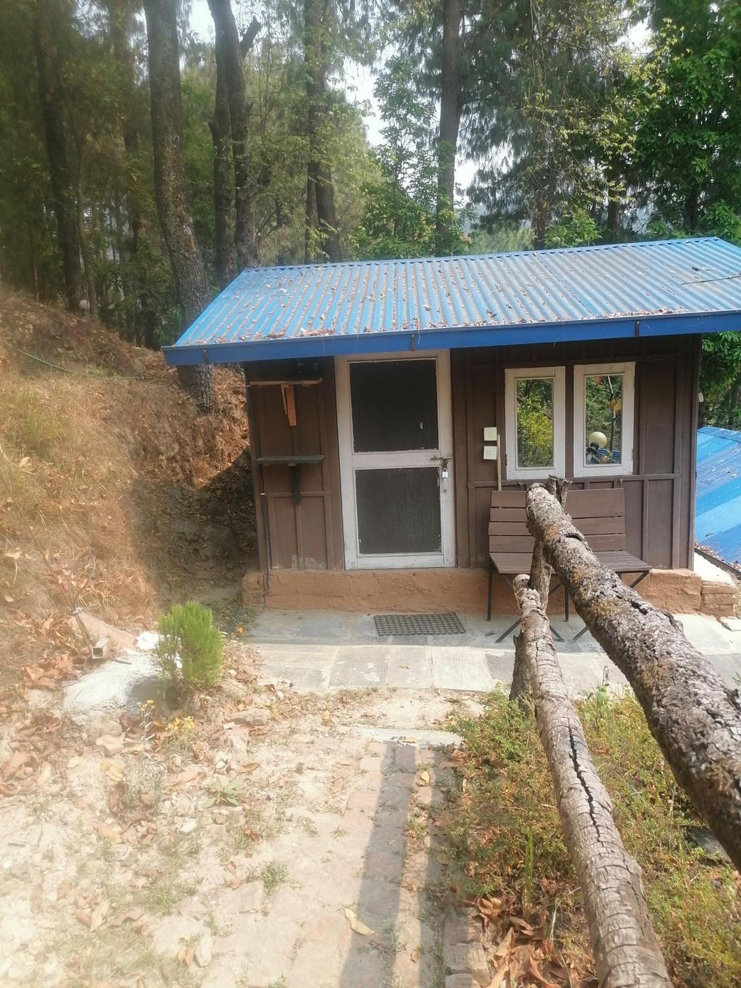 Jungle Crown Organic Homestay 나가르코트 객실 사진