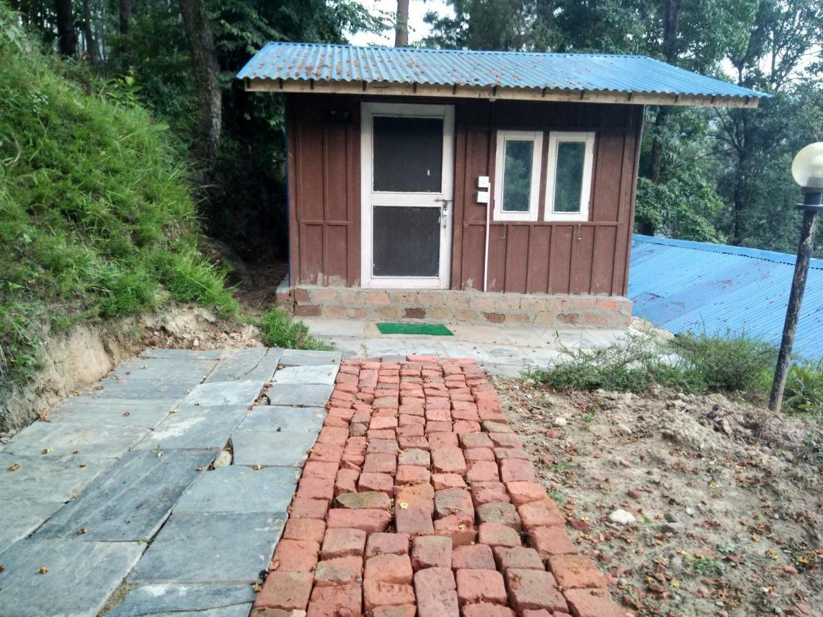 Jungle Crown Organic Homestay 나가르코트 외부 사진