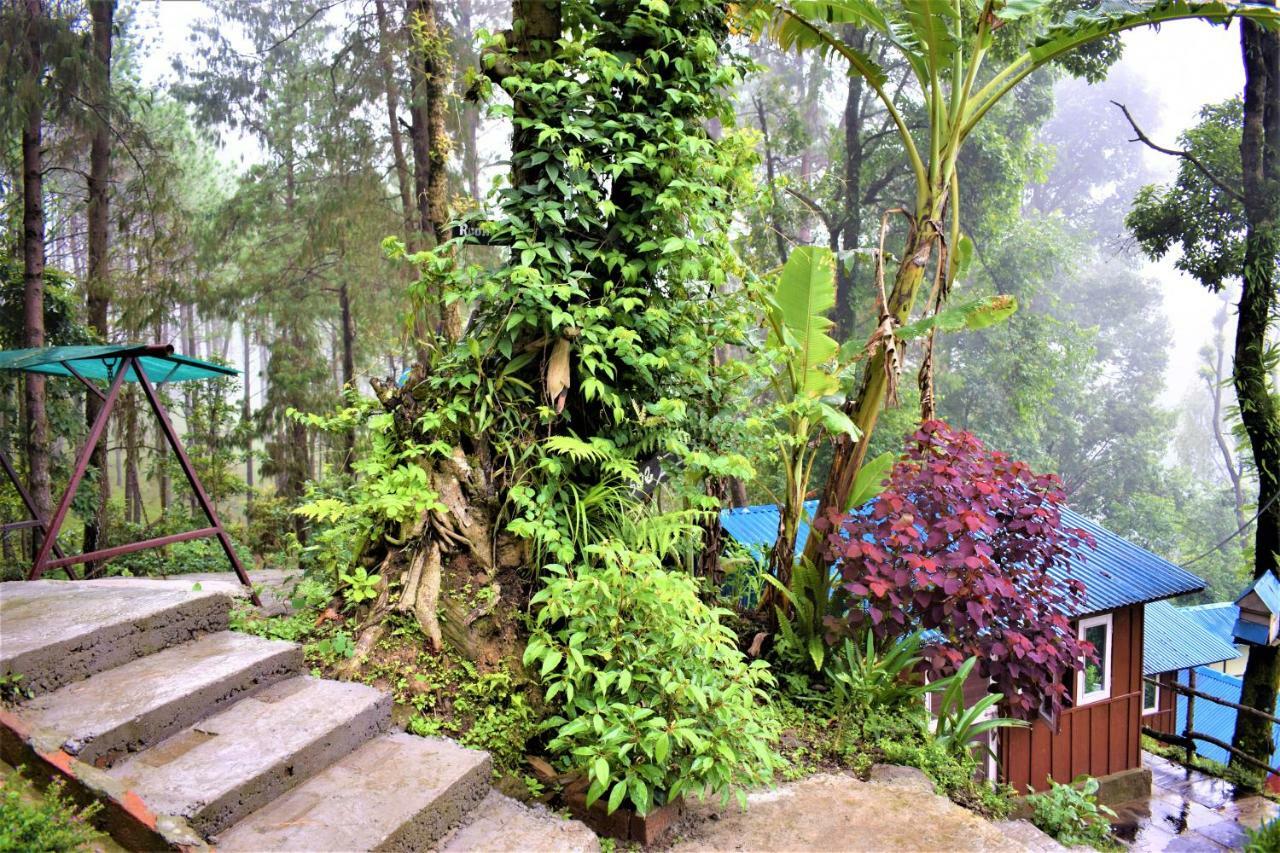 Jungle Crown Organic Homestay 나가르코트 외부 사진