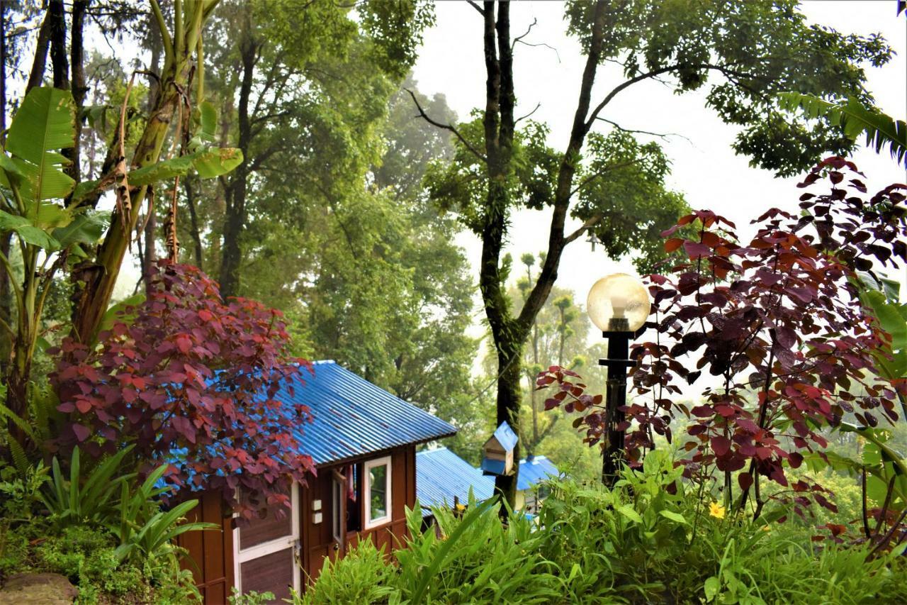 Jungle Crown Organic Homestay 나가르코트 외부 사진