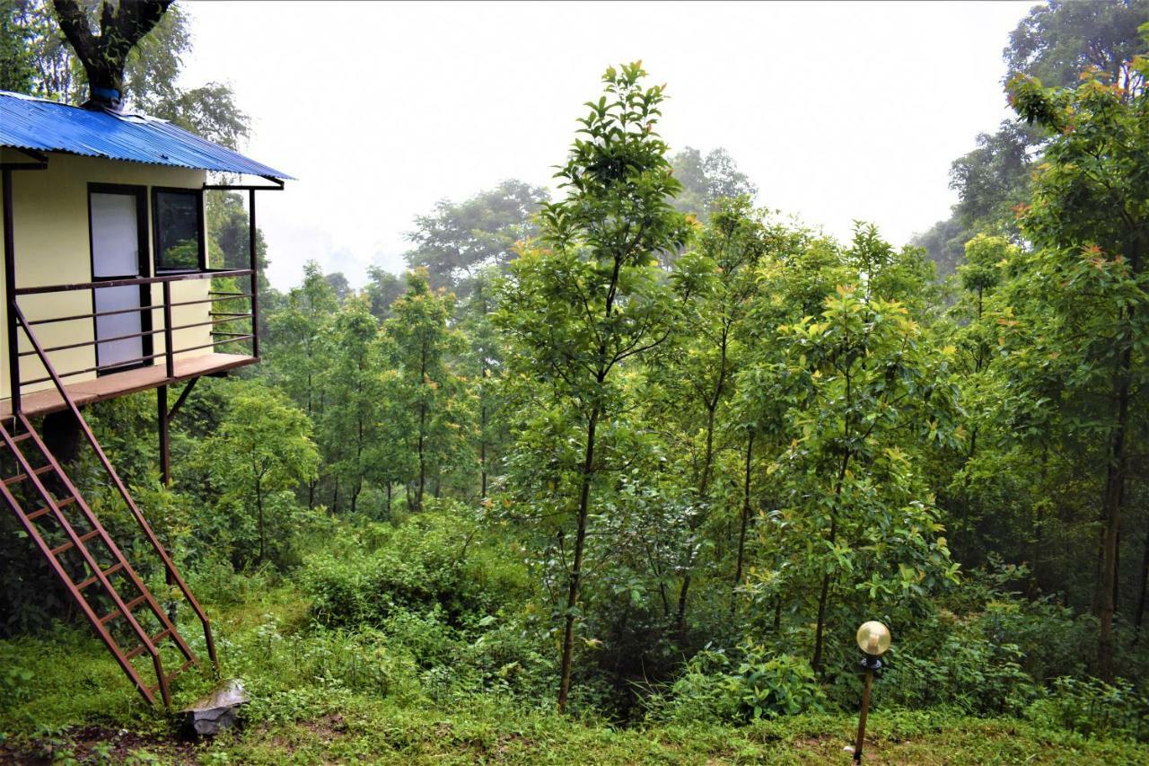 Jungle Crown Organic Homestay 나가르코트 외부 사진