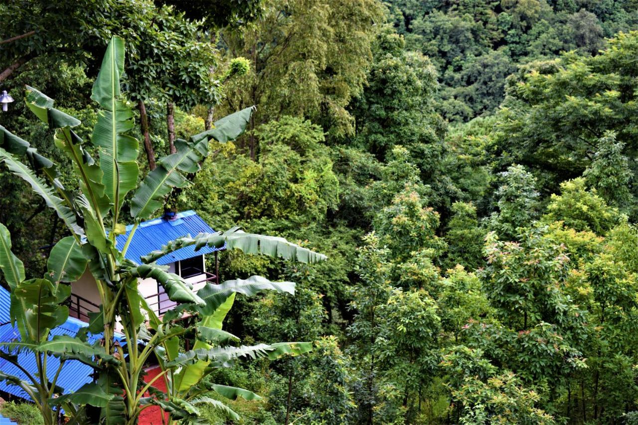 Jungle Crown Organic Homestay 나가르코트 외부 사진