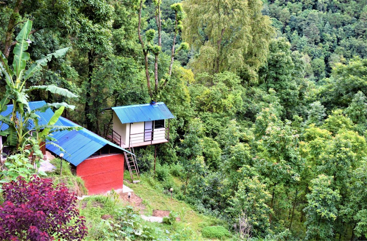 Jungle Crown Organic Homestay 나가르코트 외부 사진