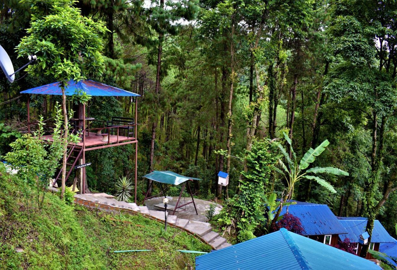 Jungle Crown Organic Homestay 나가르코트 외부 사진