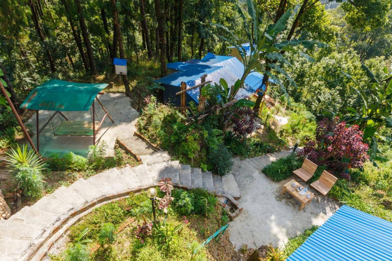Jungle Crown Organic Homestay 나가르코트 외부 사진
