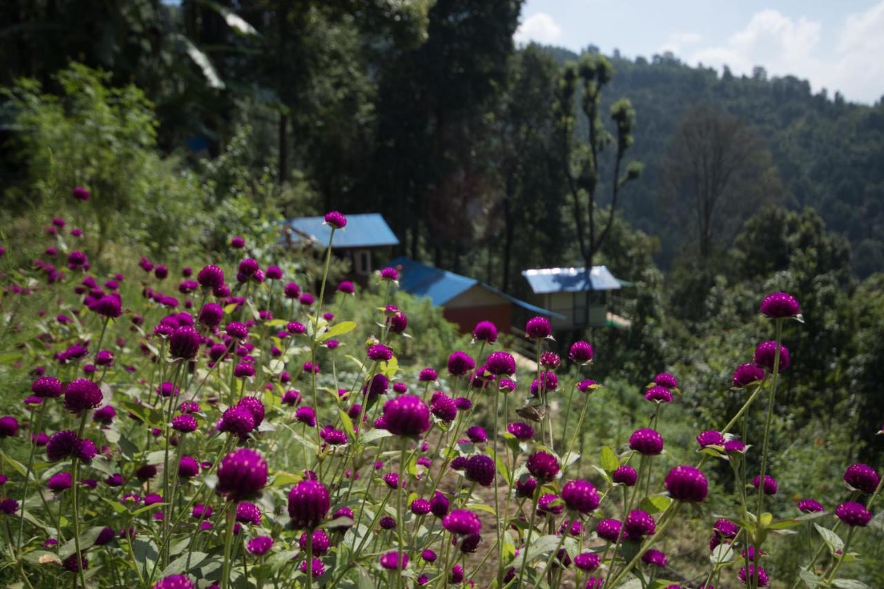 Jungle Crown Organic Homestay 나가르코트 외부 사진