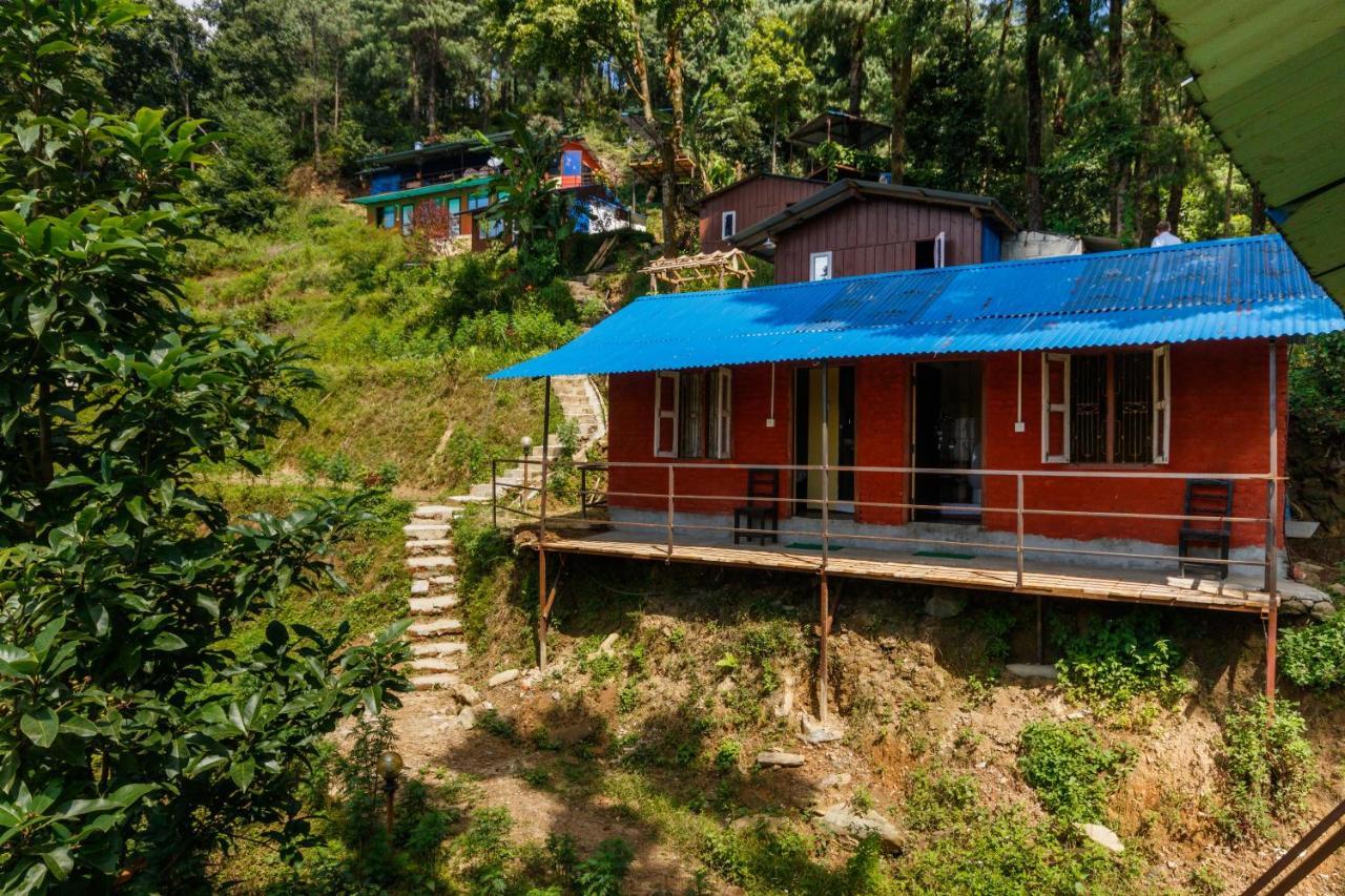 Jungle Crown Organic Homestay 나가르코트 외부 사진