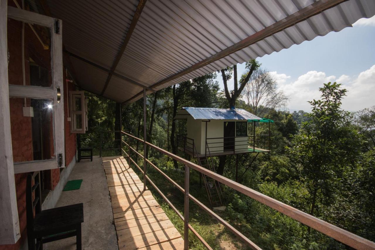 Jungle Crown Organic Homestay 나가르코트 외부 사진