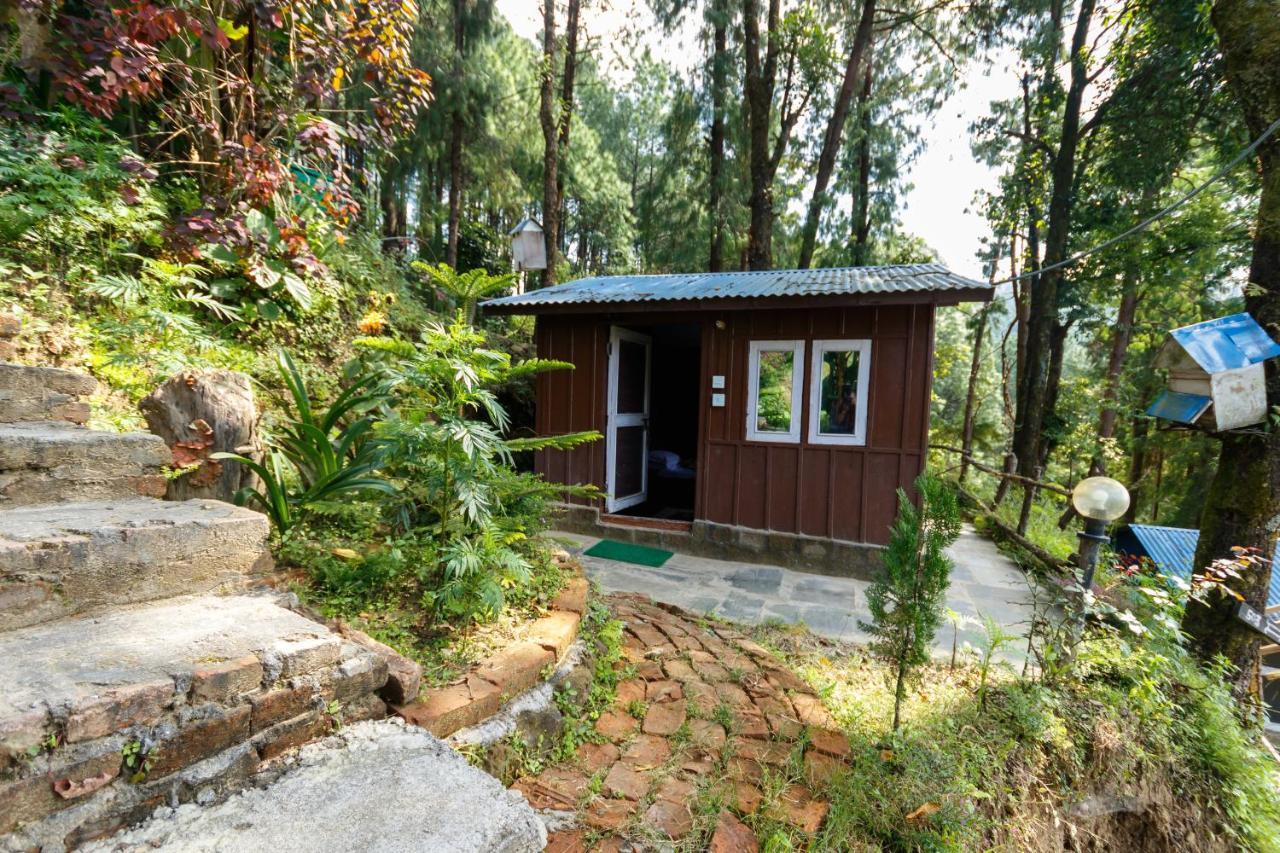 Jungle Crown Organic Homestay 나가르코트 외부 사진