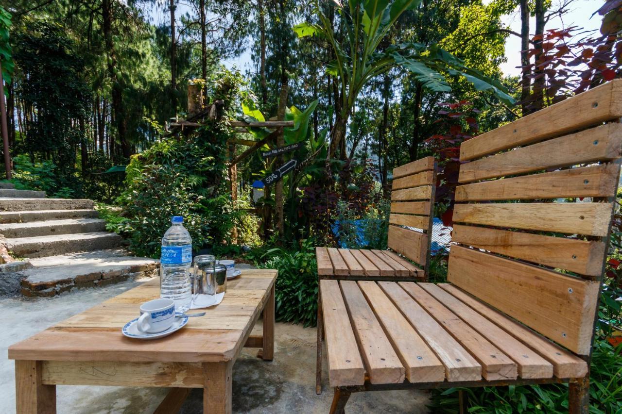 Jungle Crown Organic Homestay 나가르코트 외부 사진