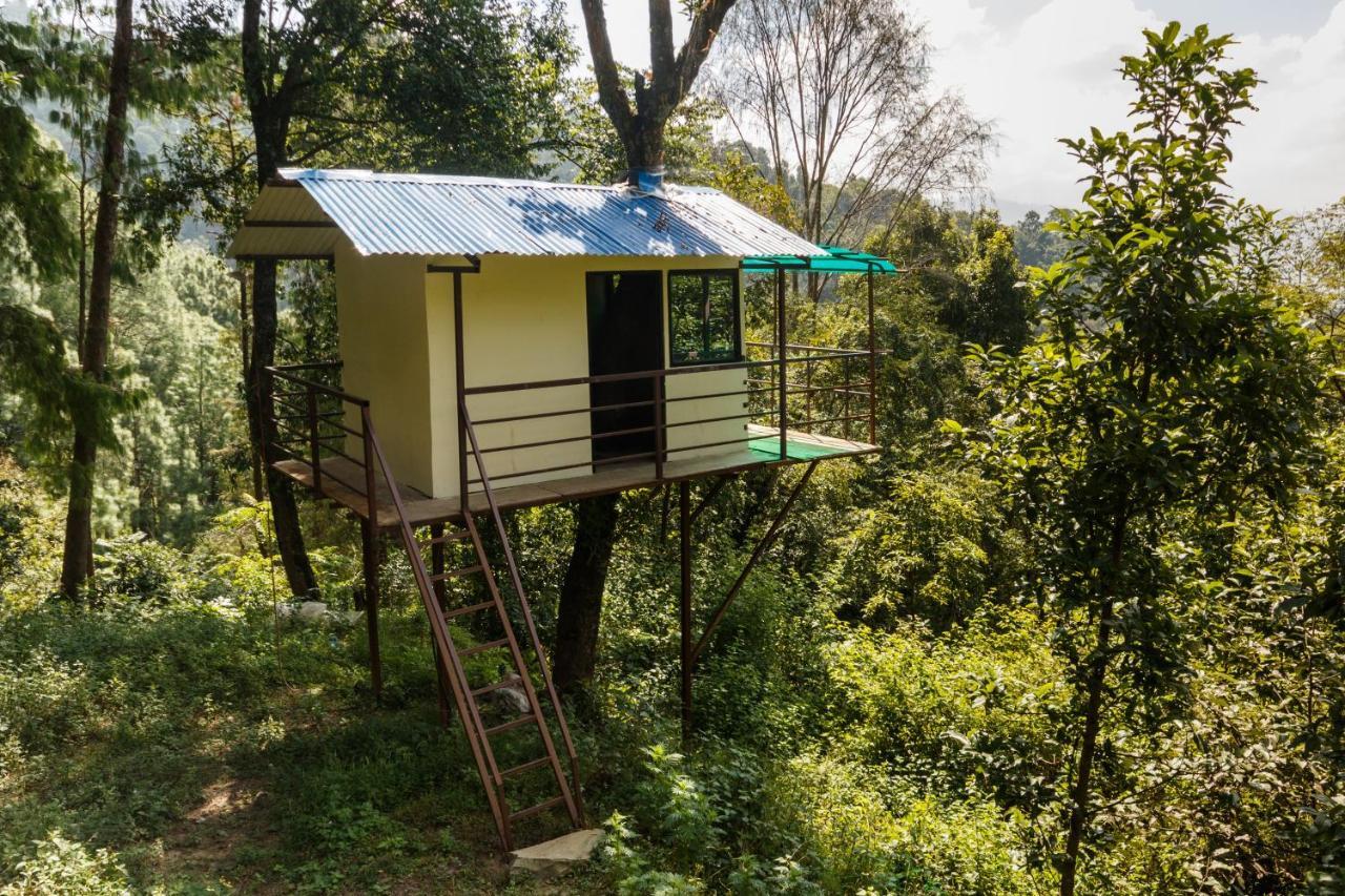 Jungle Crown Organic Homestay 나가르코트 외부 사진