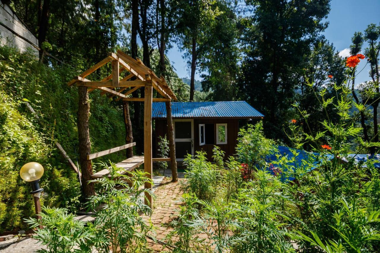 Jungle Crown Organic Homestay 나가르코트 외부 사진