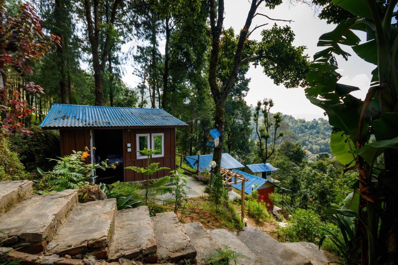 Jungle Crown Organic Homestay 나가르코트 외부 사진