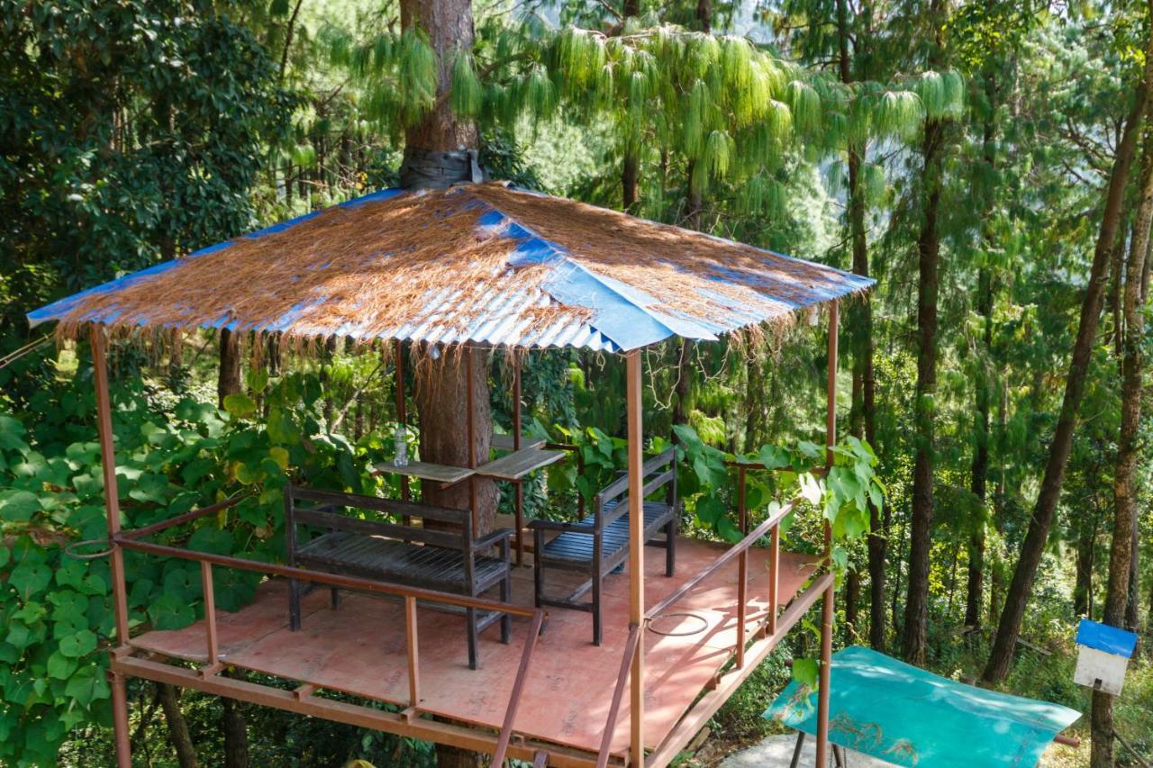 Jungle Crown Organic Homestay 나가르코트 외부 사진