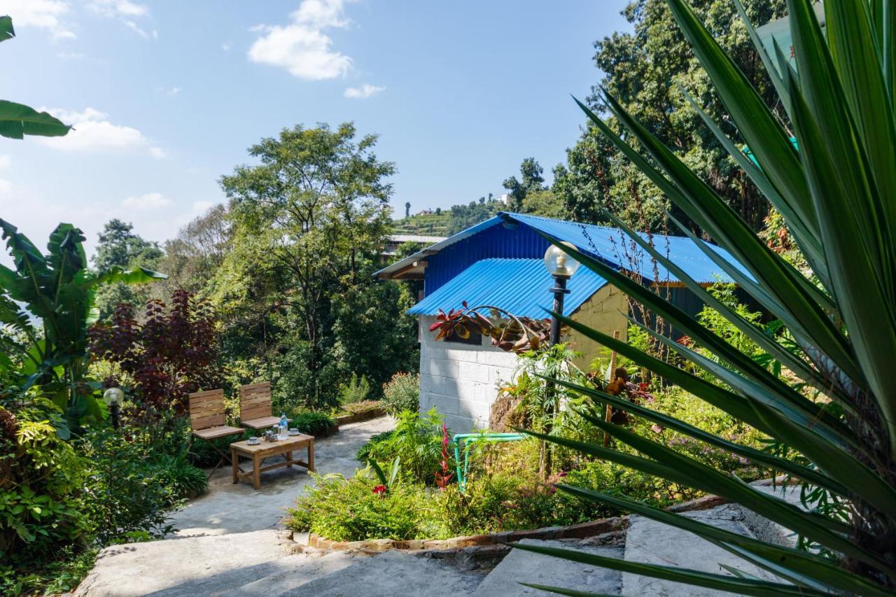 Jungle Crown Organic Homestay 나가르코트 외부 사진