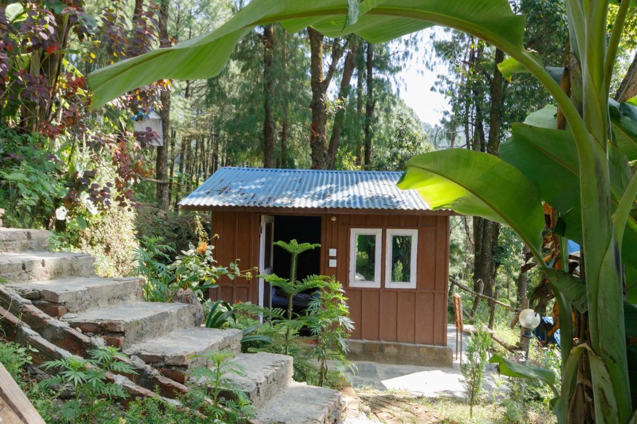 Jungle Crown Organic Homestay 나가르코트 외부 사진